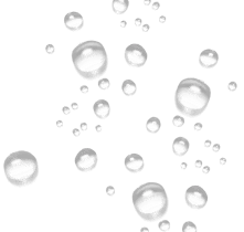 Services decorative shape